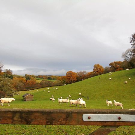 Gwilym'S Stable Daire Builth Wells Dış mekan fotoğraf
