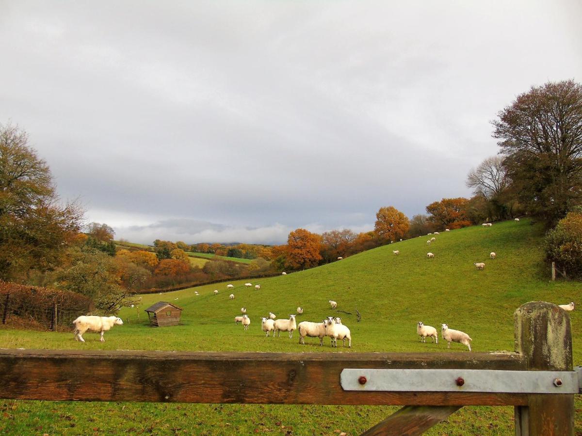 Gwilym'S Stable Daire Builth Wells Dış mekan fotoğraf